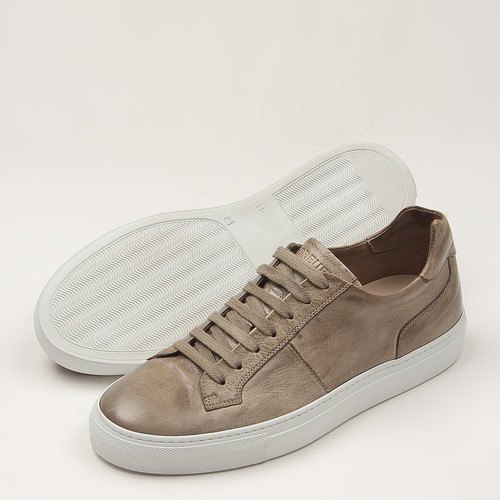 C:\Users t270e5k-k24ws\Pictures\8SM\014TP.jpg